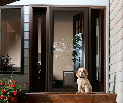 Great Day Improvements installed this storm door featuring a built-in pet door to provide homeowners with security, convenience, and style.