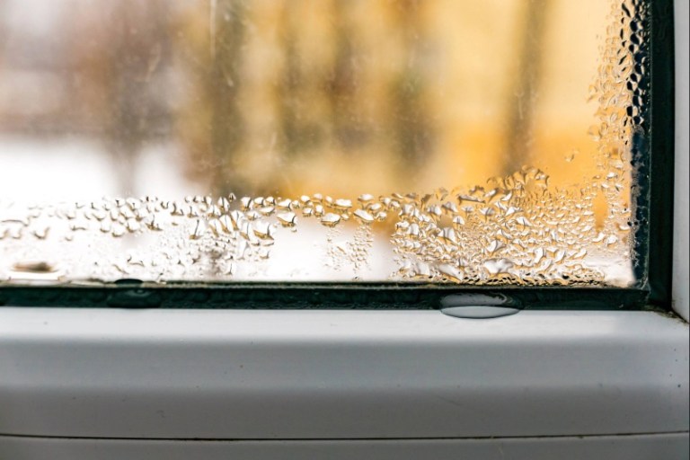 A close-up shot of a window with a lot of window condensation in the corner.