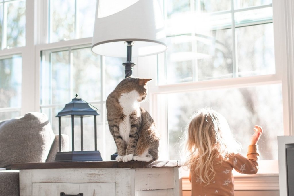 A young child and her cat look out of a sunny window in the living room.